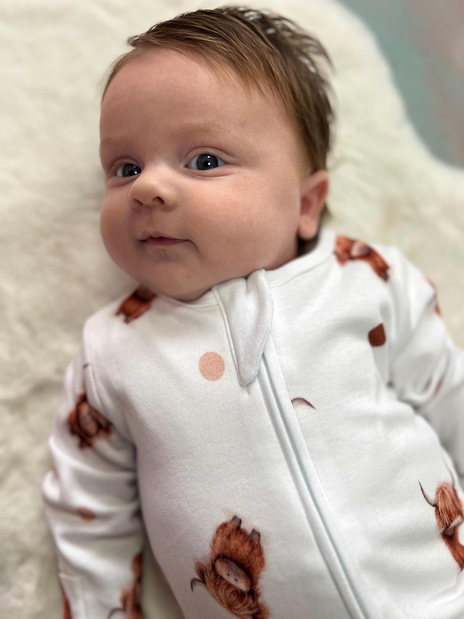 Organic cotton highland cow sleepsuit